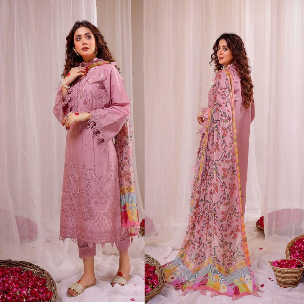 3PC Dhanak Embroidered Suit